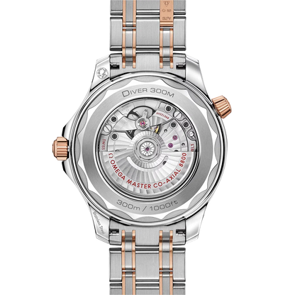Seamaster Automatic Dial 210.20.42